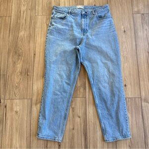 Everlane Women's Curvy Cheeky Jean Light Blue Denim Wash Size 33 Straight